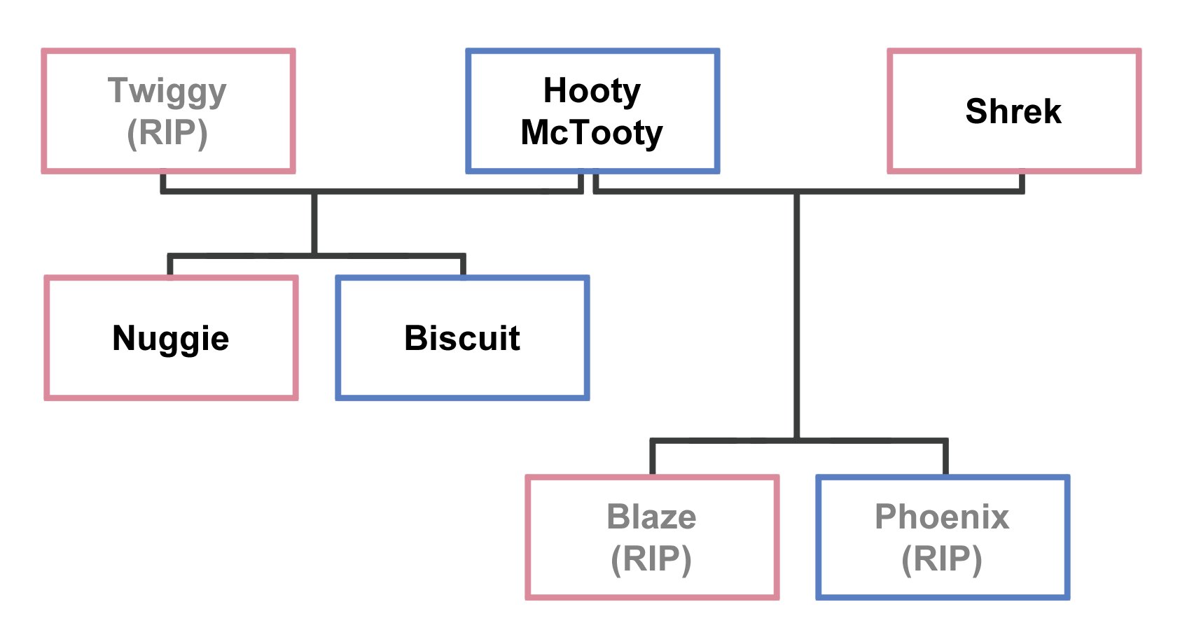 Hooty Family Tree